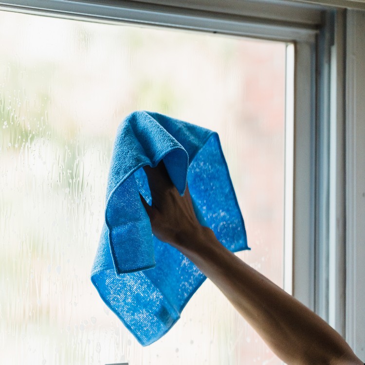 Just another WordPress site