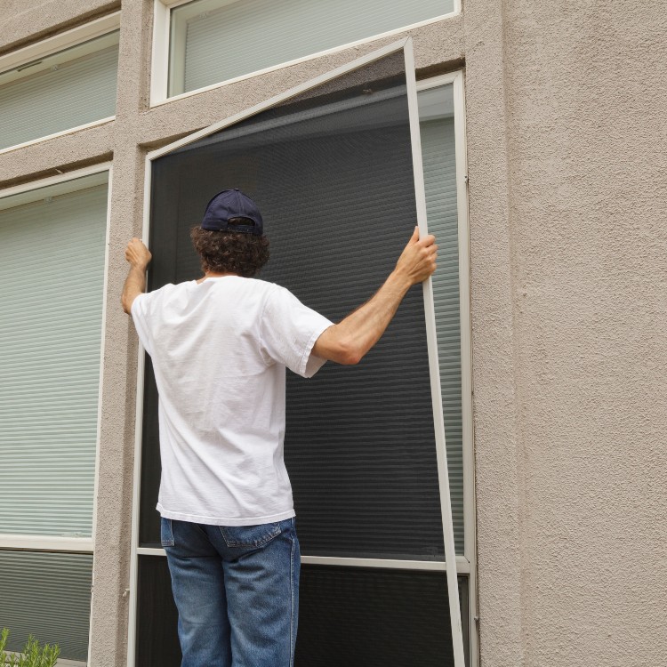 Just another WordPress site