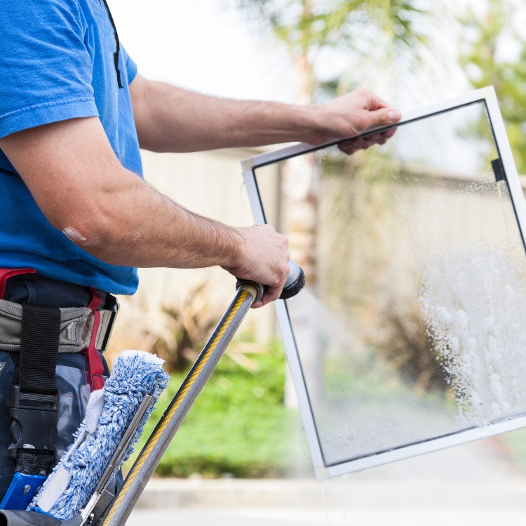 Just another WordPress site